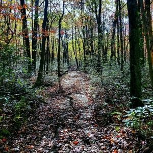 Meet your Posher, Noah